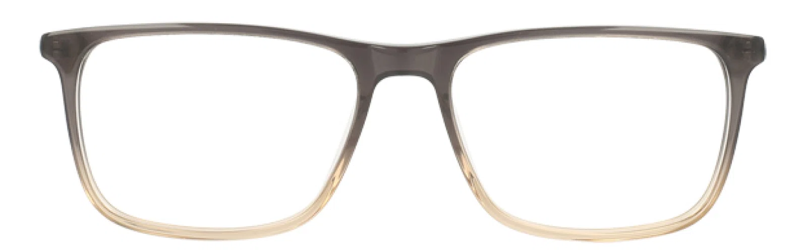 Randy Jackson RJ3060 Eyeglasses - Black/brown - view 9